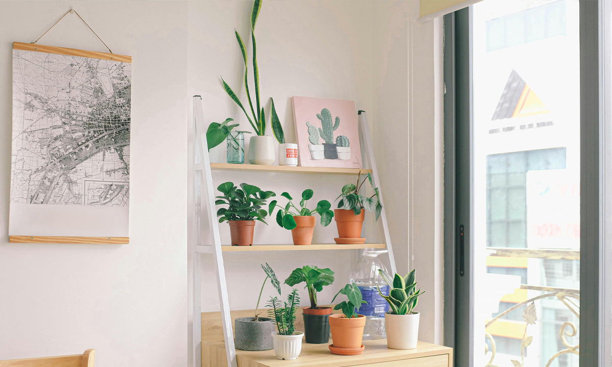 diy easy macrame plant hanger Easy Macrame Plant Hanger Pattern | Beginner main image 1