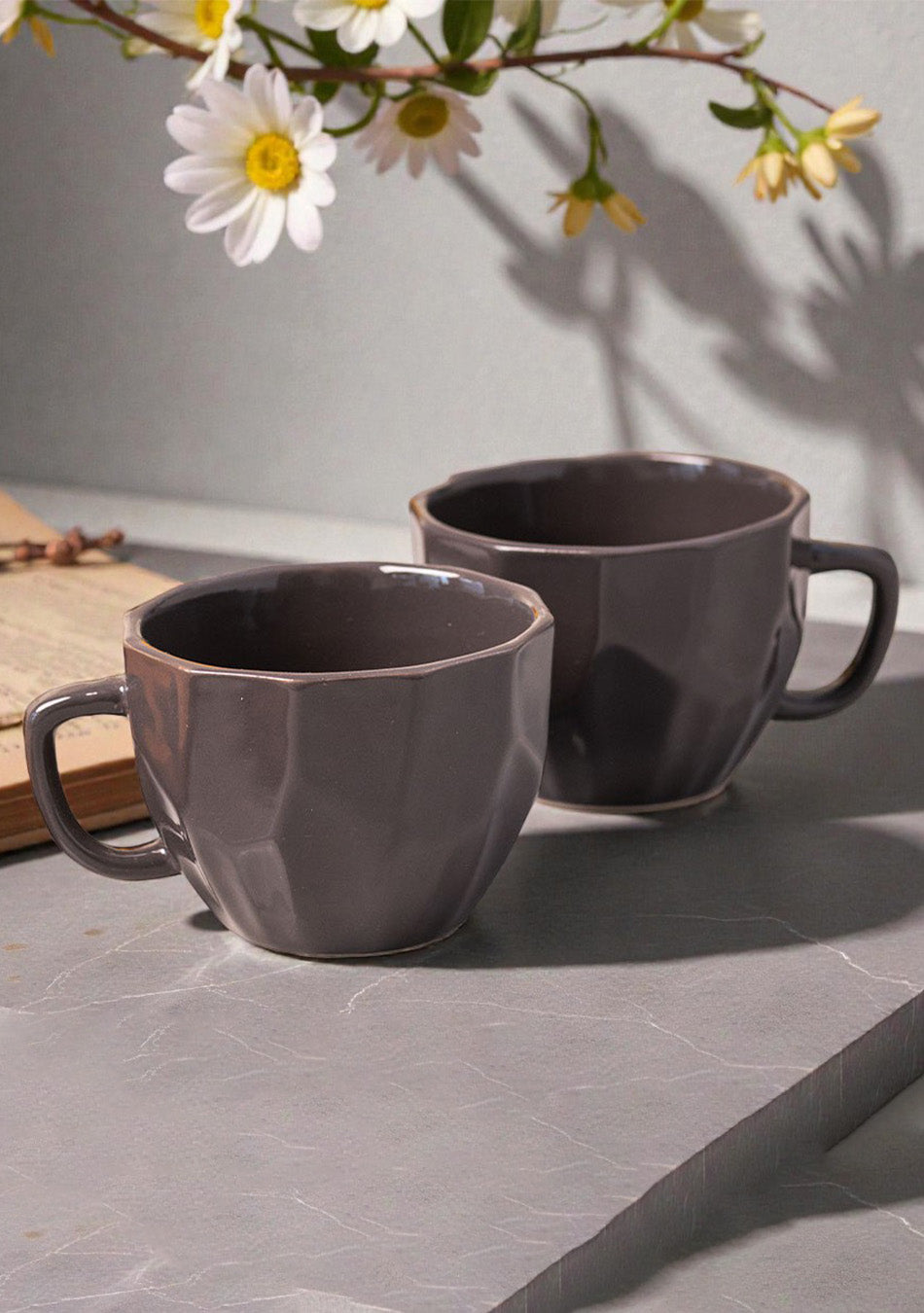 Hornbill Mugs - Handcrafted