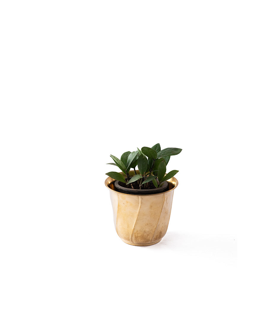 Twisted Brass Planter small