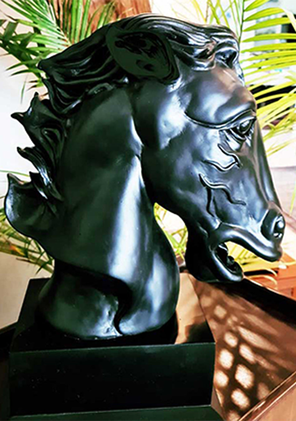 Black Beauty Horse Head (plain)