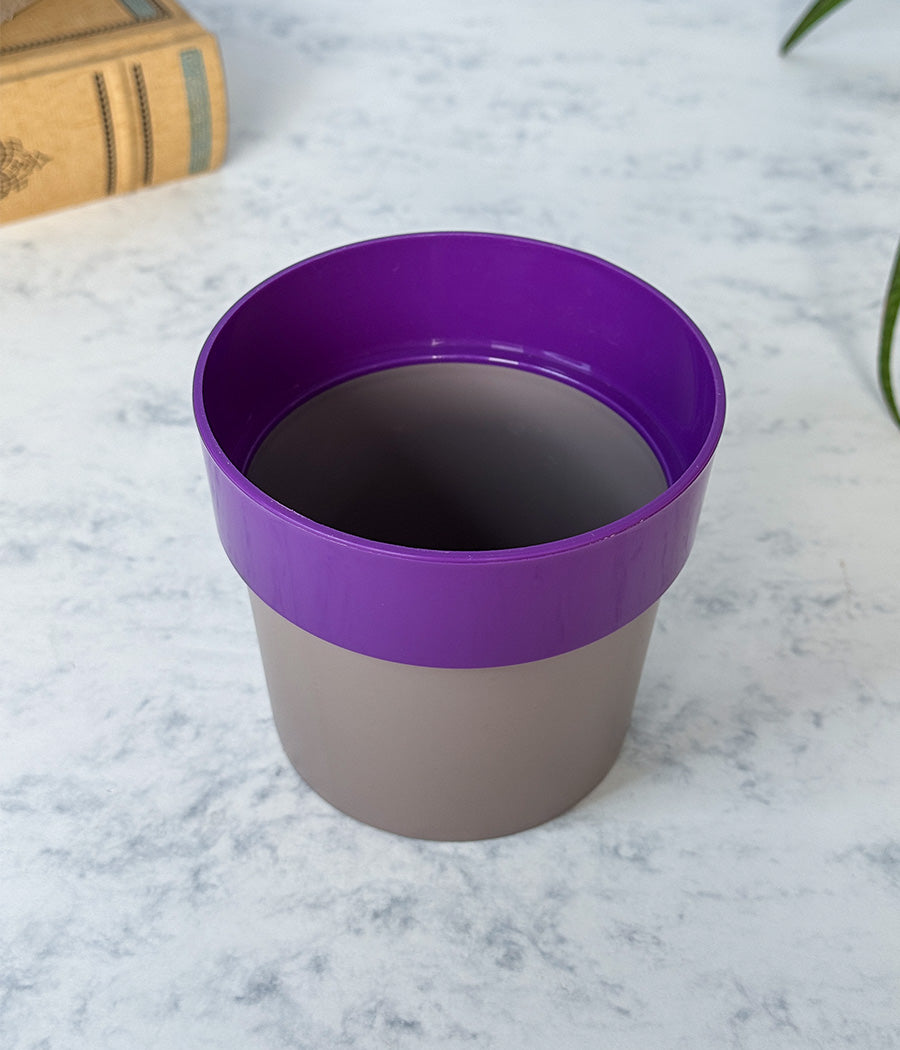 Sunny-side Planter