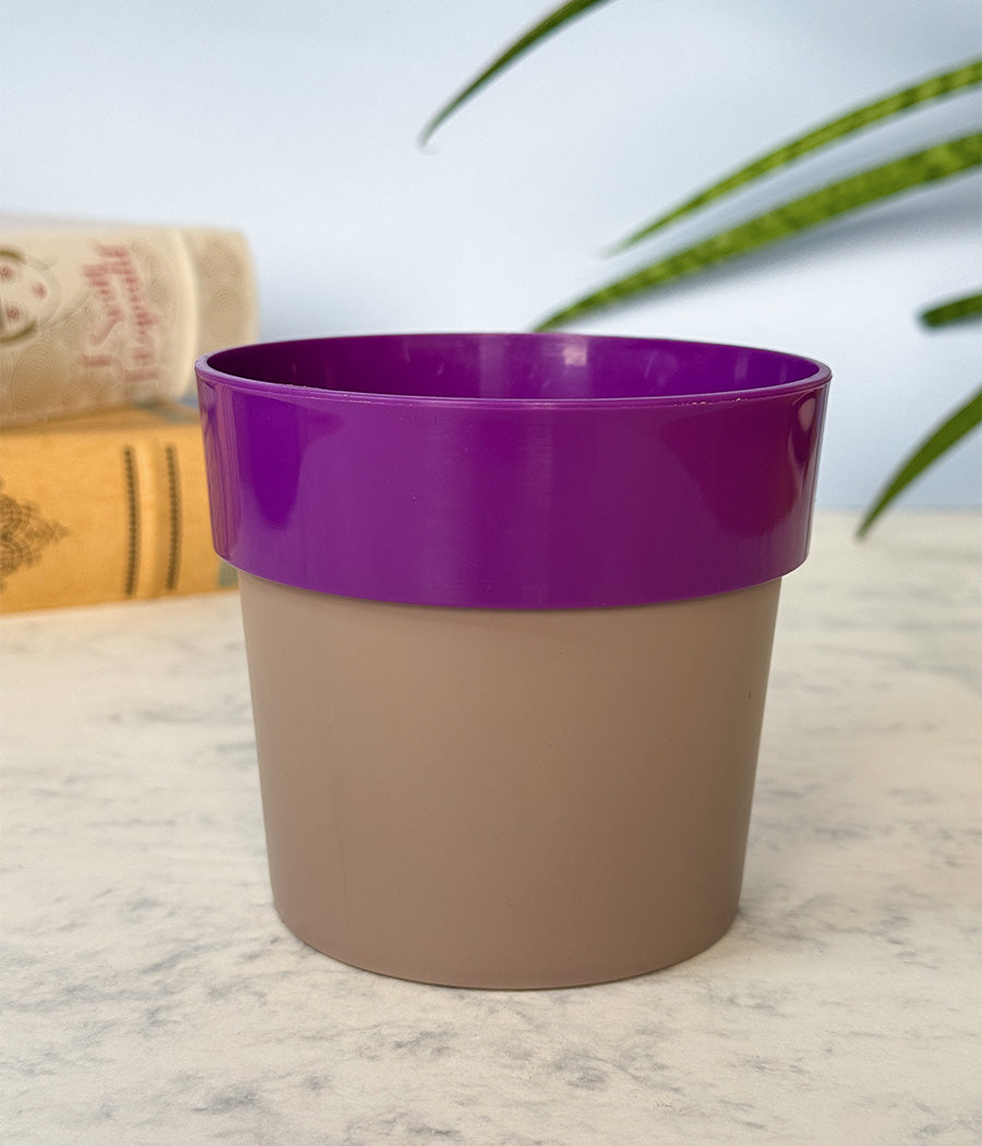 Sunny-side Planter