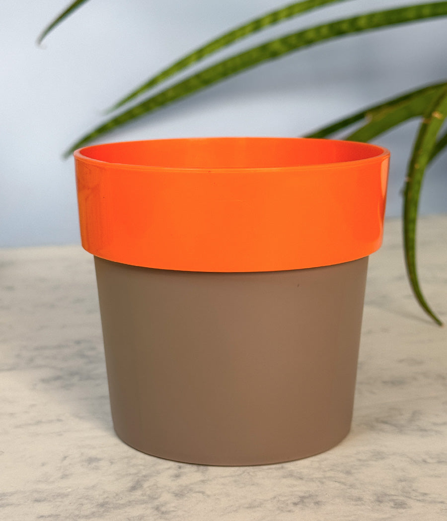 Sunny-side Planter