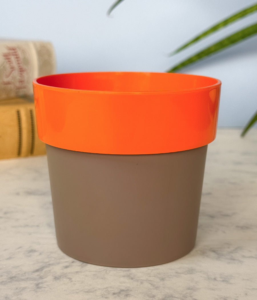 Sunny-side Planter
