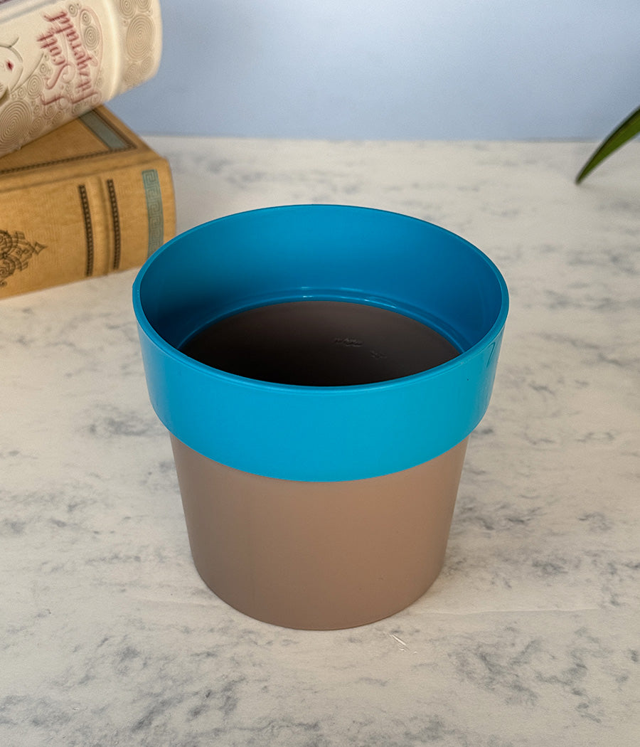 Sunny-side Planter