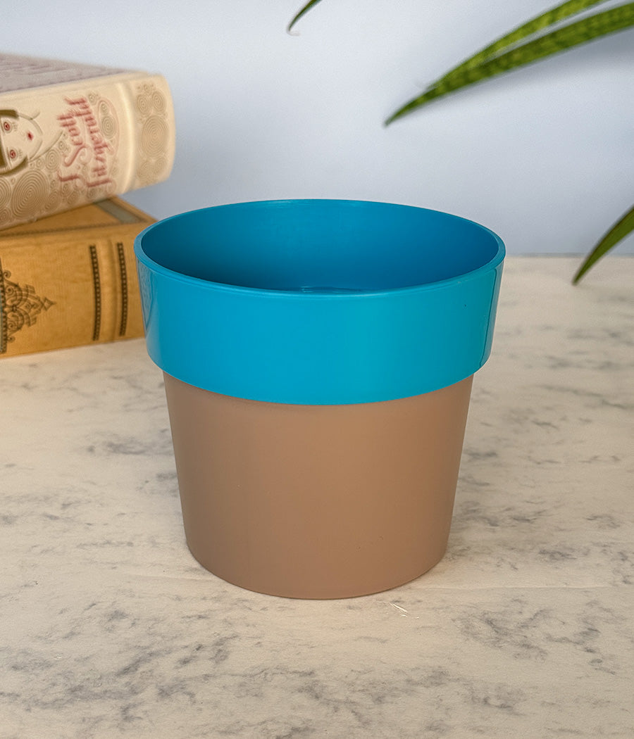 Sunny-side Planter