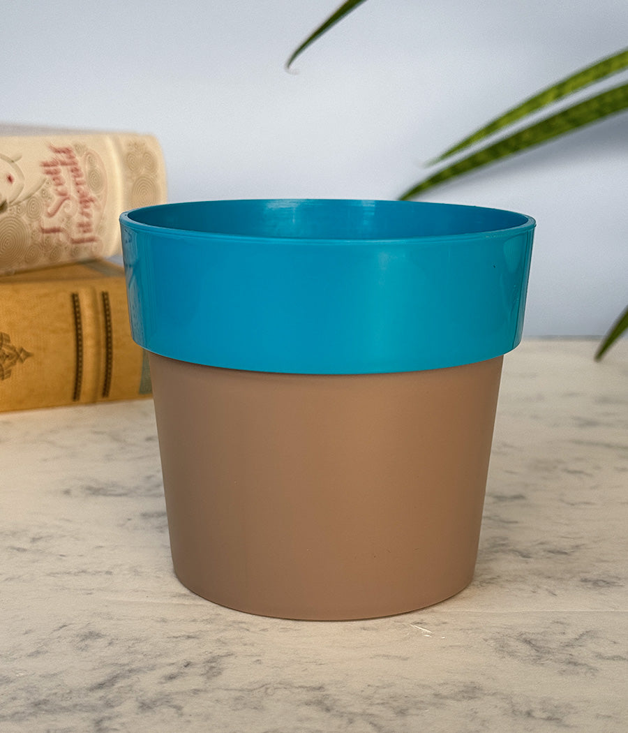 Sunny-side Planter