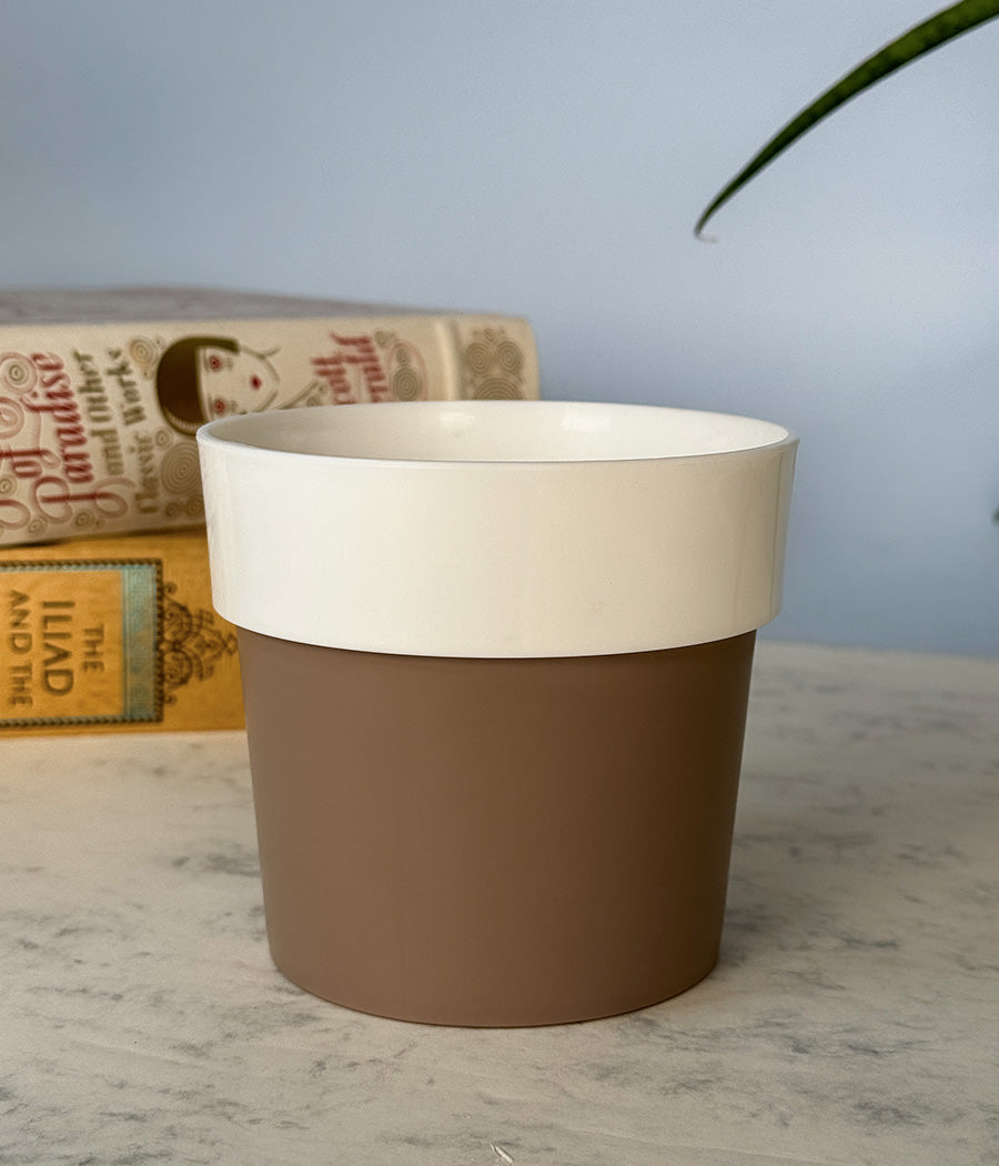 Sunny-side Planter