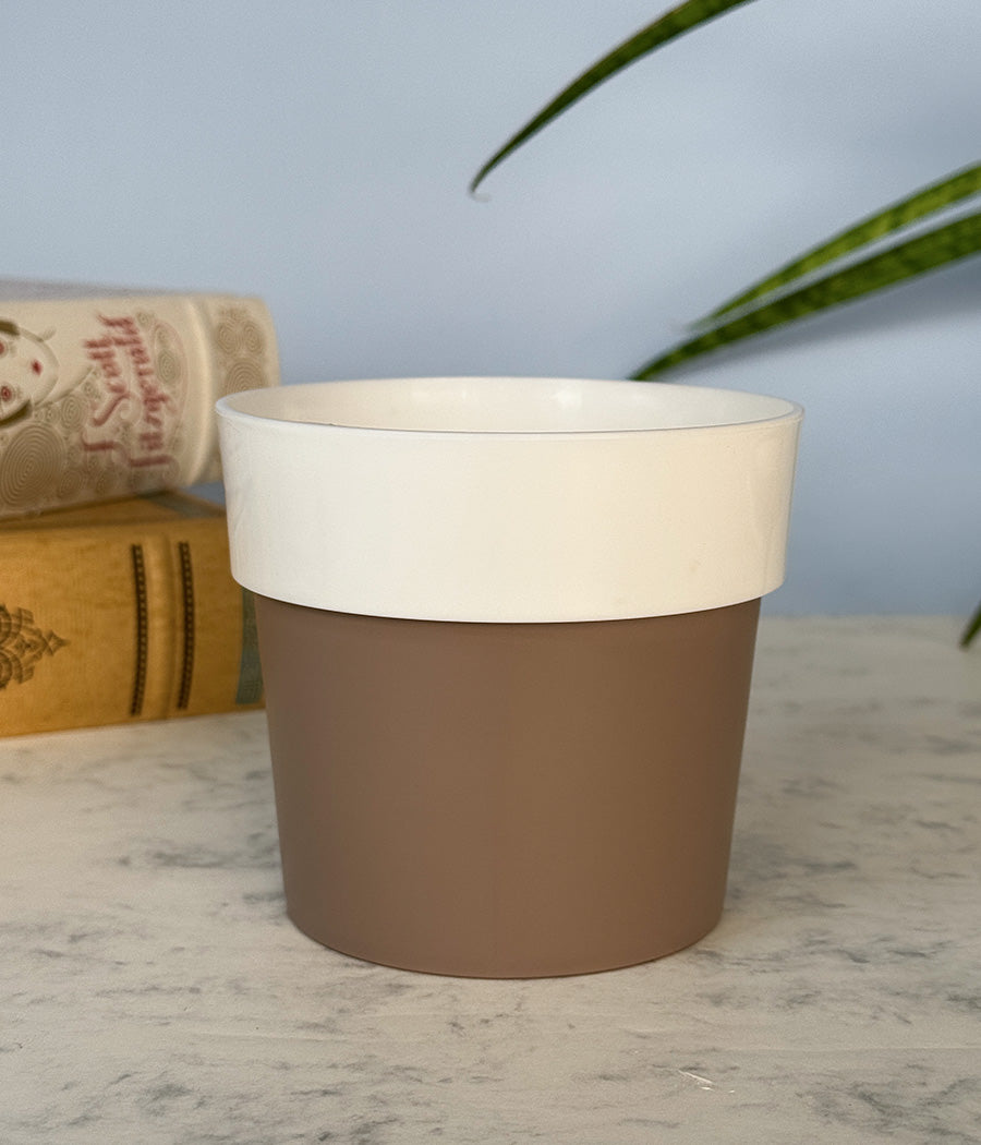 Sunny-side Planter