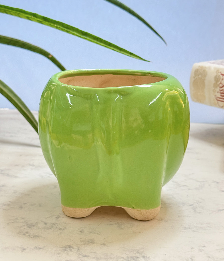 Elephant Ceramic Pot