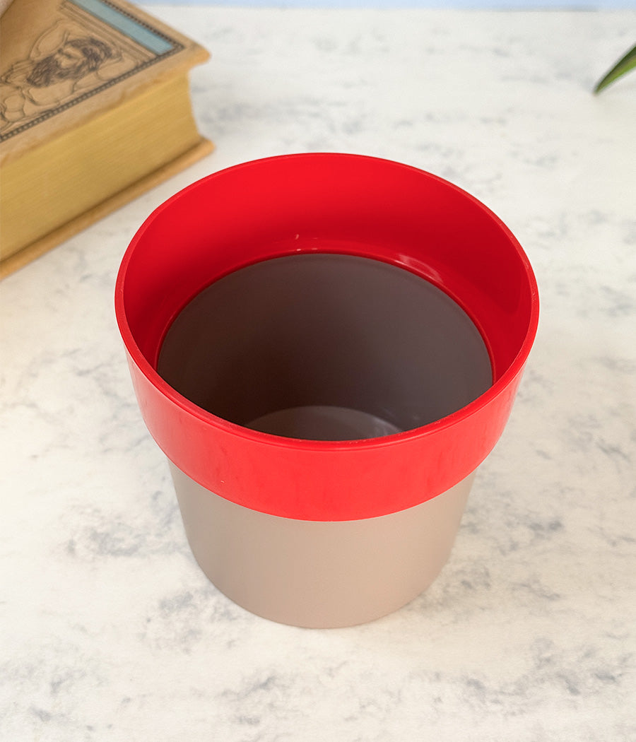 Sunny-side Planter
