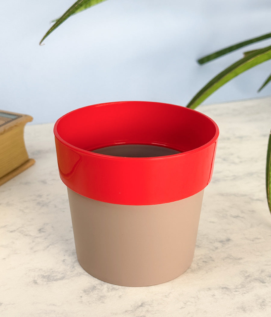 Sunny-side Planter