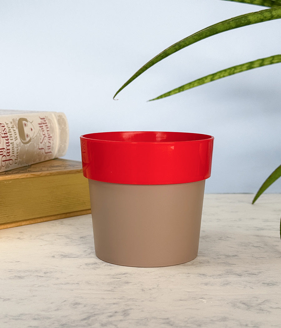 Sunny-side Planter