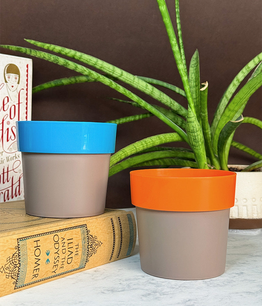 Duo Sunny-side Planter