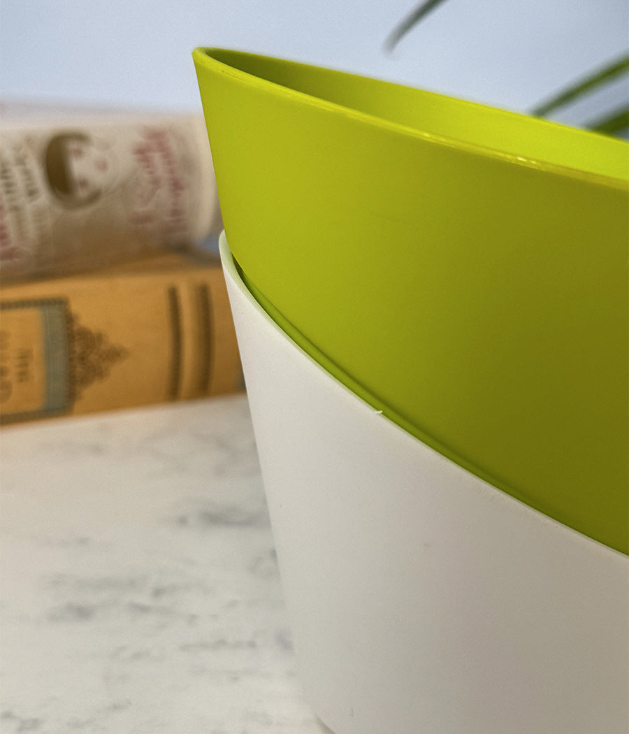 Self Watering Planter