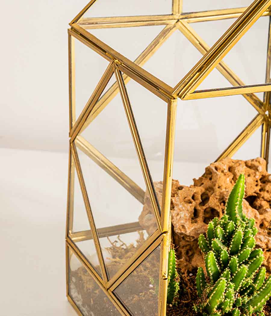 Geneva Terrarium