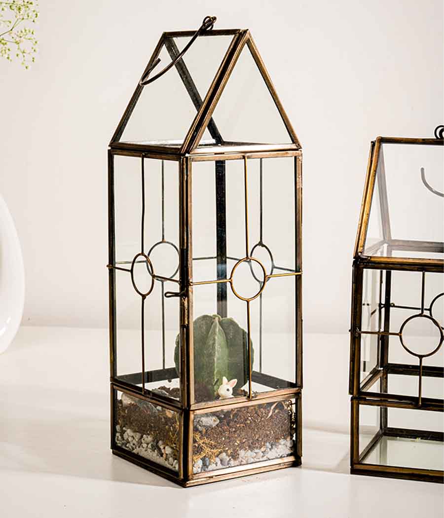 Nairobi Terrariums - Set of 2
