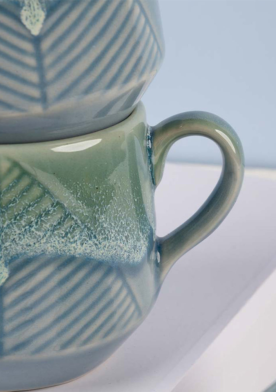 White-crowned Parrot Mugs - Handcrafted