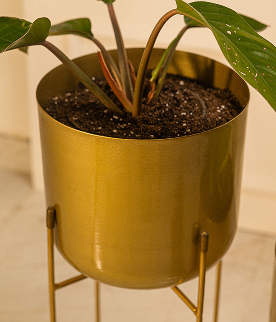 Golden Rounded Brass Metal Planter- Set of 3