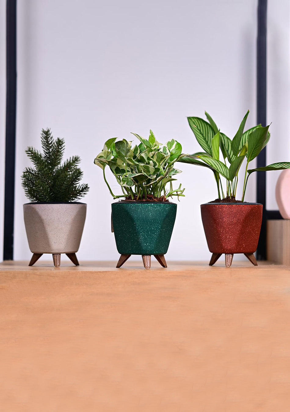 Lagos Black Eco Series Planter