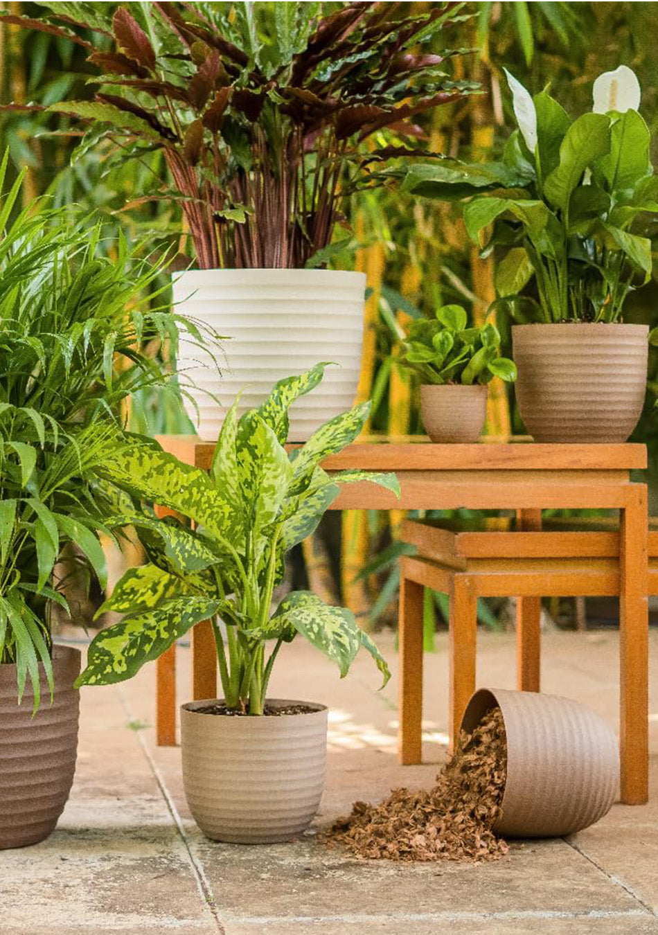 Earthen black Eco Series Planter