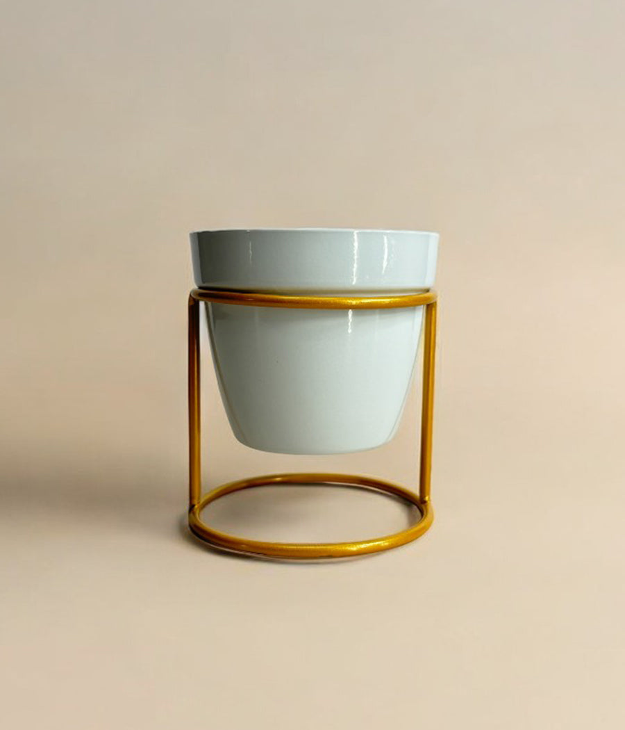 Single Mini Desk Planter With Golden Stand