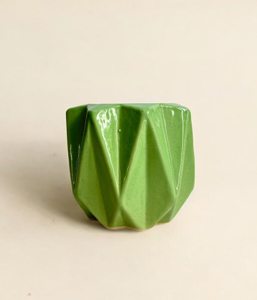 Pickle Green Ceramic Planter