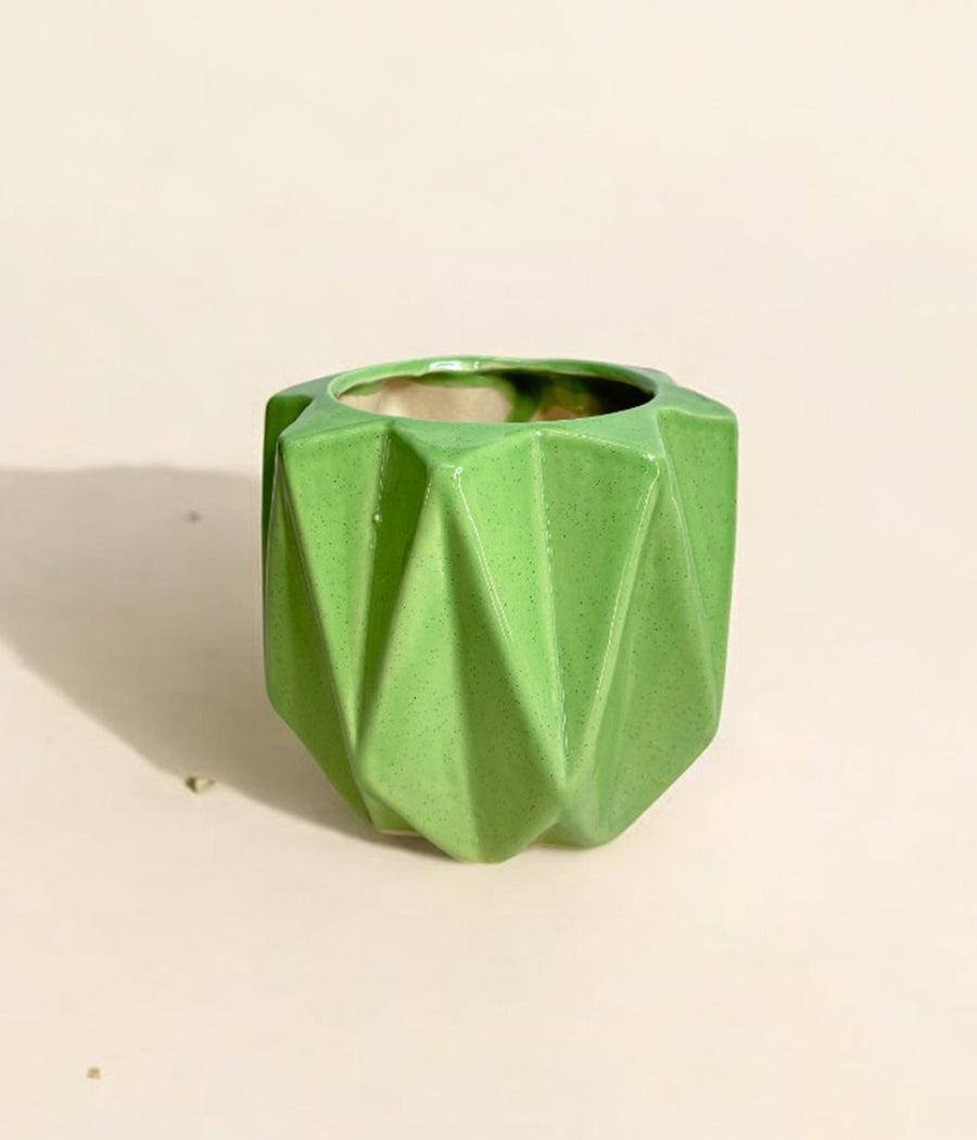 Pickle Green Ceramic Planter