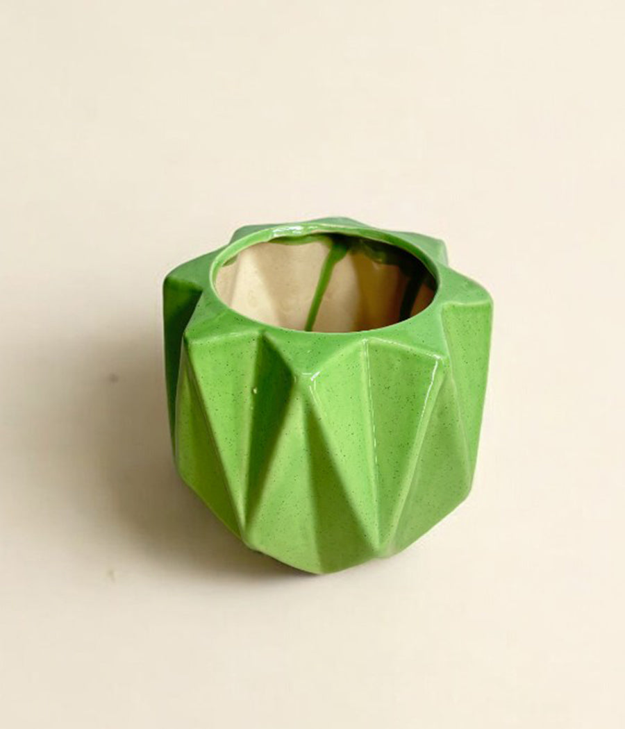 Pickle Green Ceramic Planter