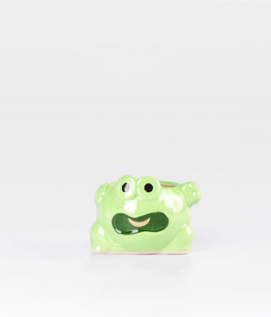 Green Frog Ceramic Planter Online