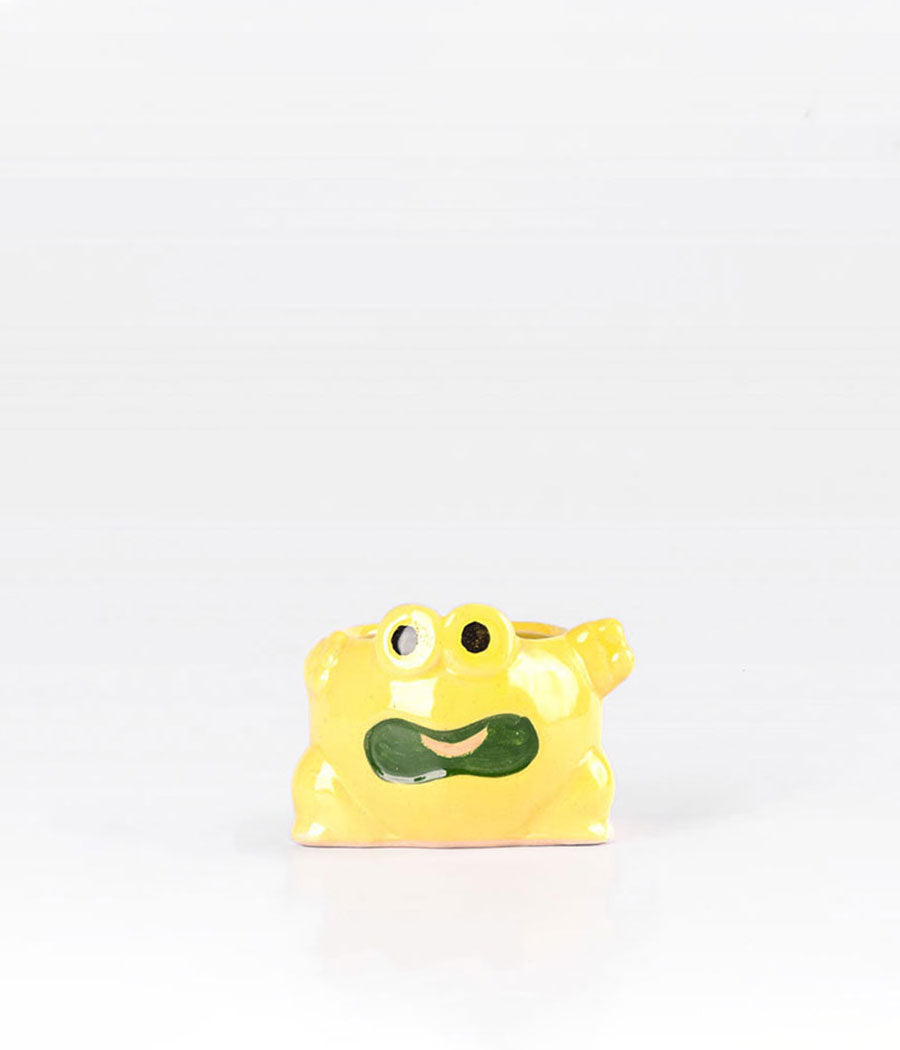 Buy Frog Ceramic Yellow Planter Online