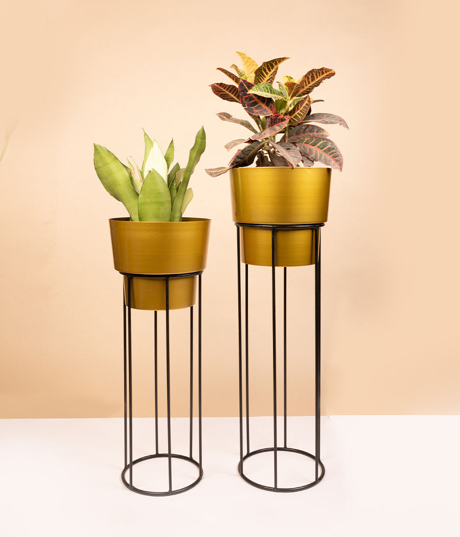 Indoor Golden Metal Planter With Stand