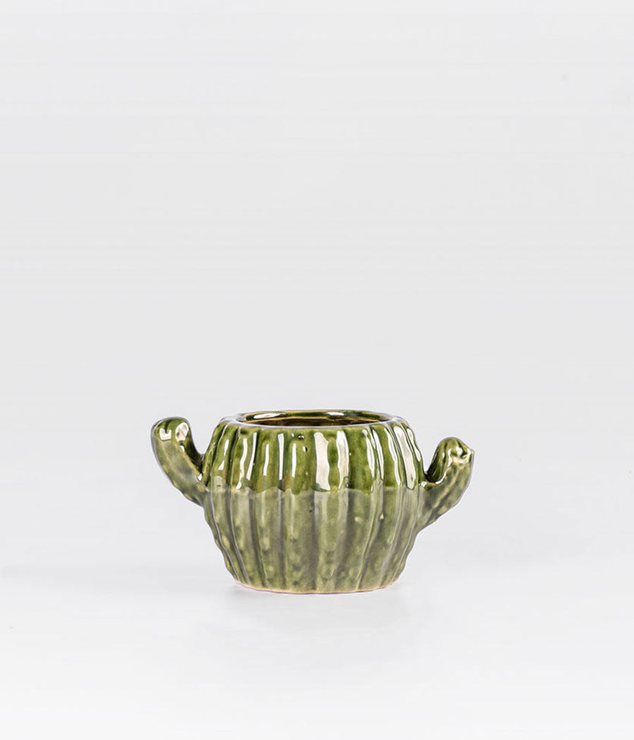 Olive Cactus Ceramic Planter Online