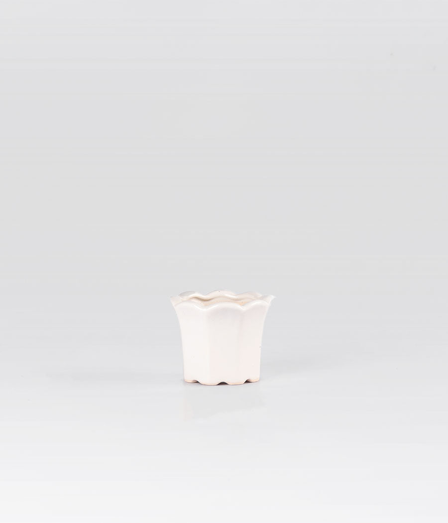 Tulip Shaped White Planter online