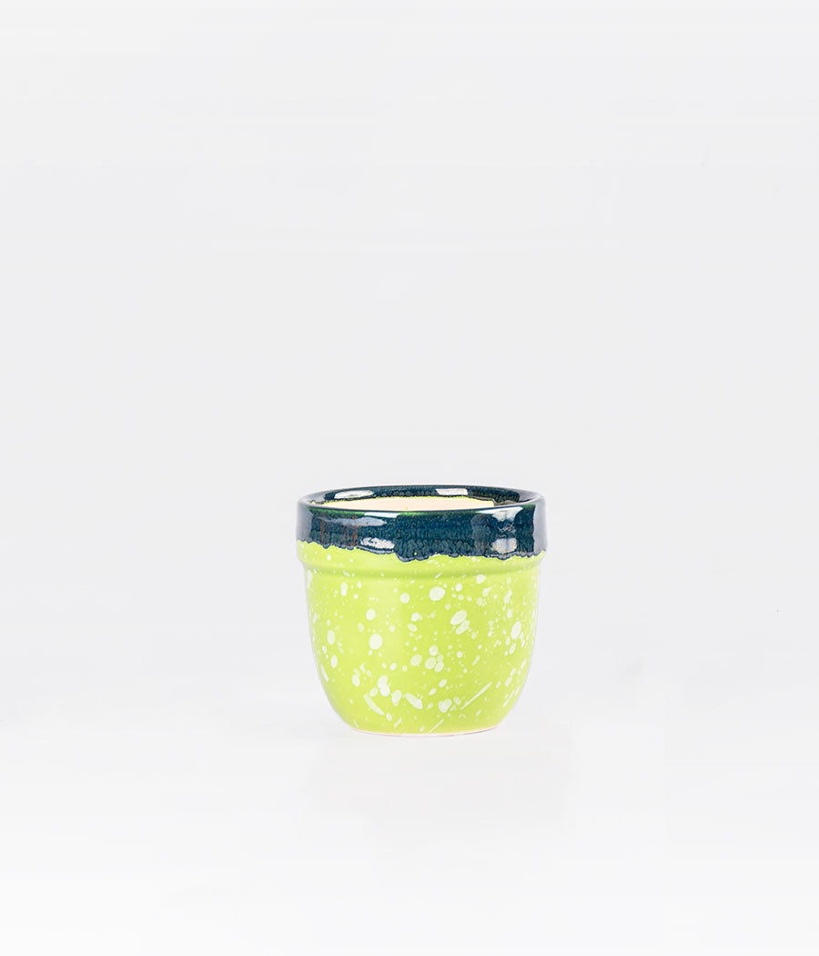 blue & green multicolour ceramic planter online