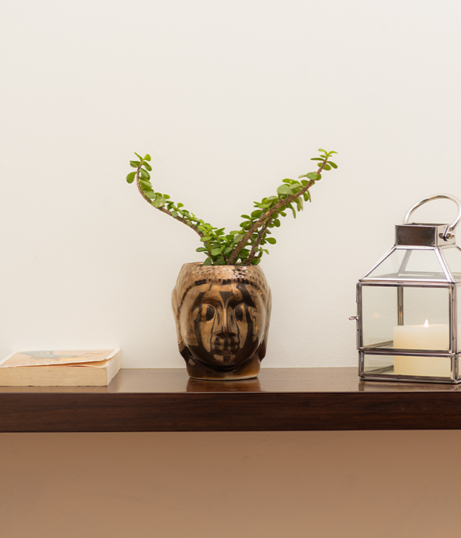 Resting Buddha Face Ceramic Planter