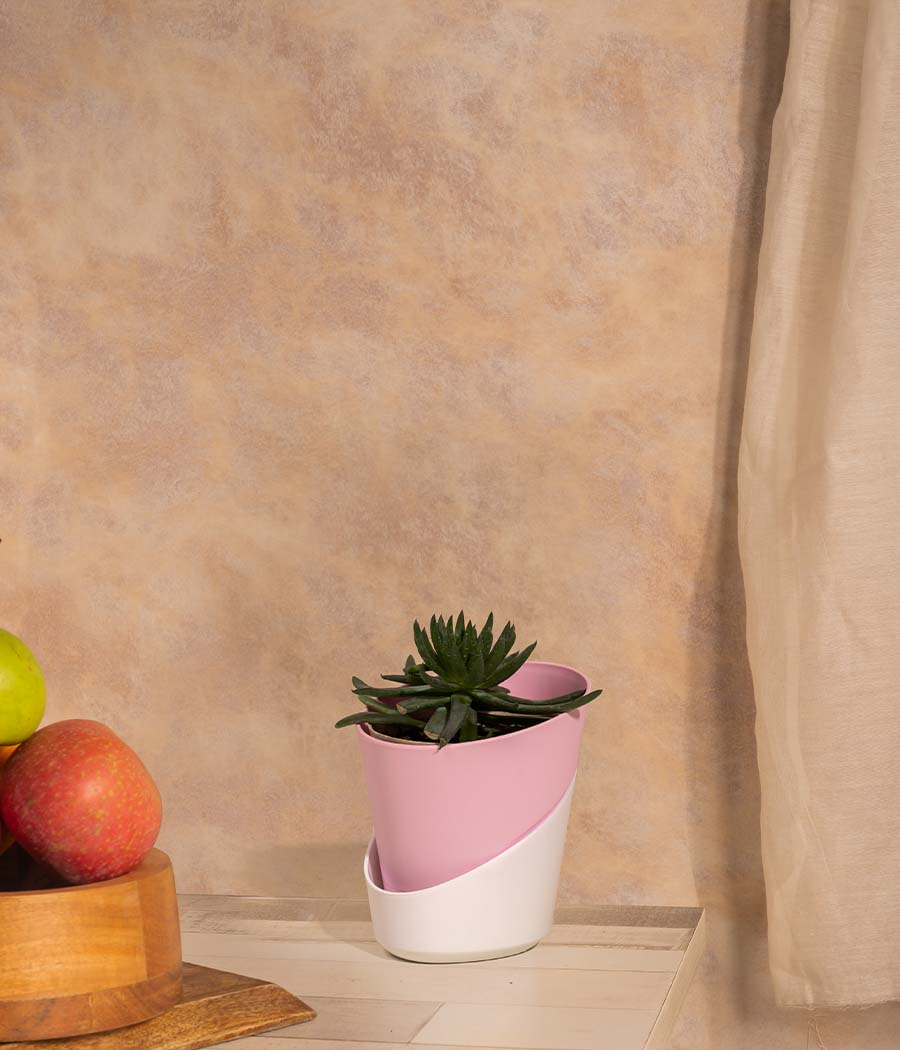 Self Watering Planter