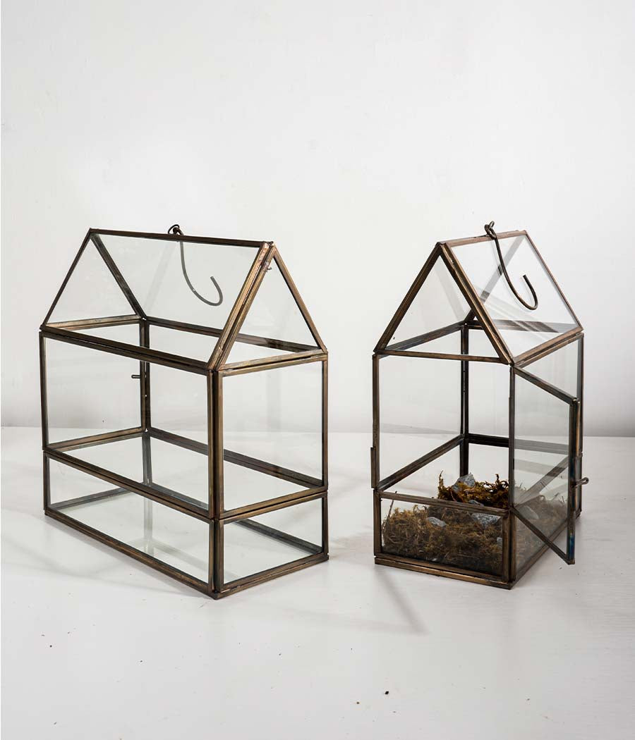 Shillong Terrariums - Set of 2