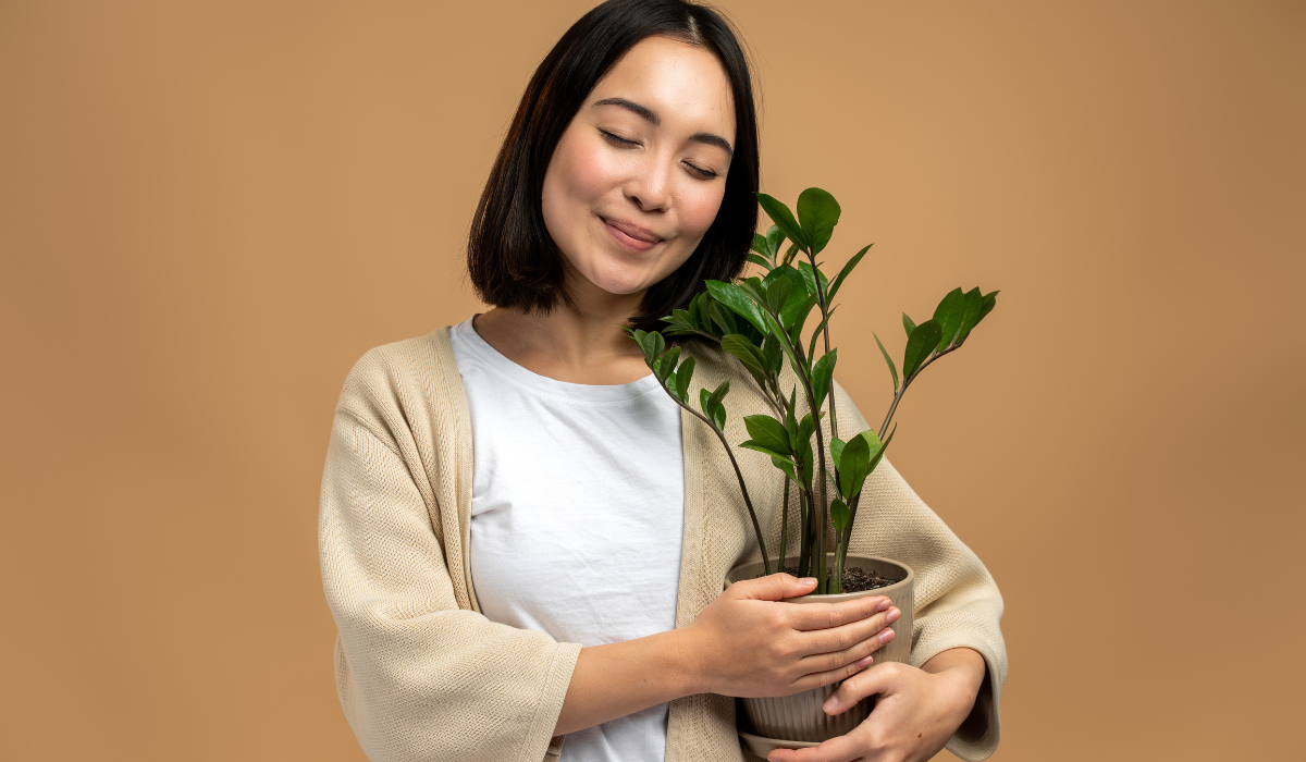 How to Choose the Right Plant for Each Room: A Room-by-Room Guide