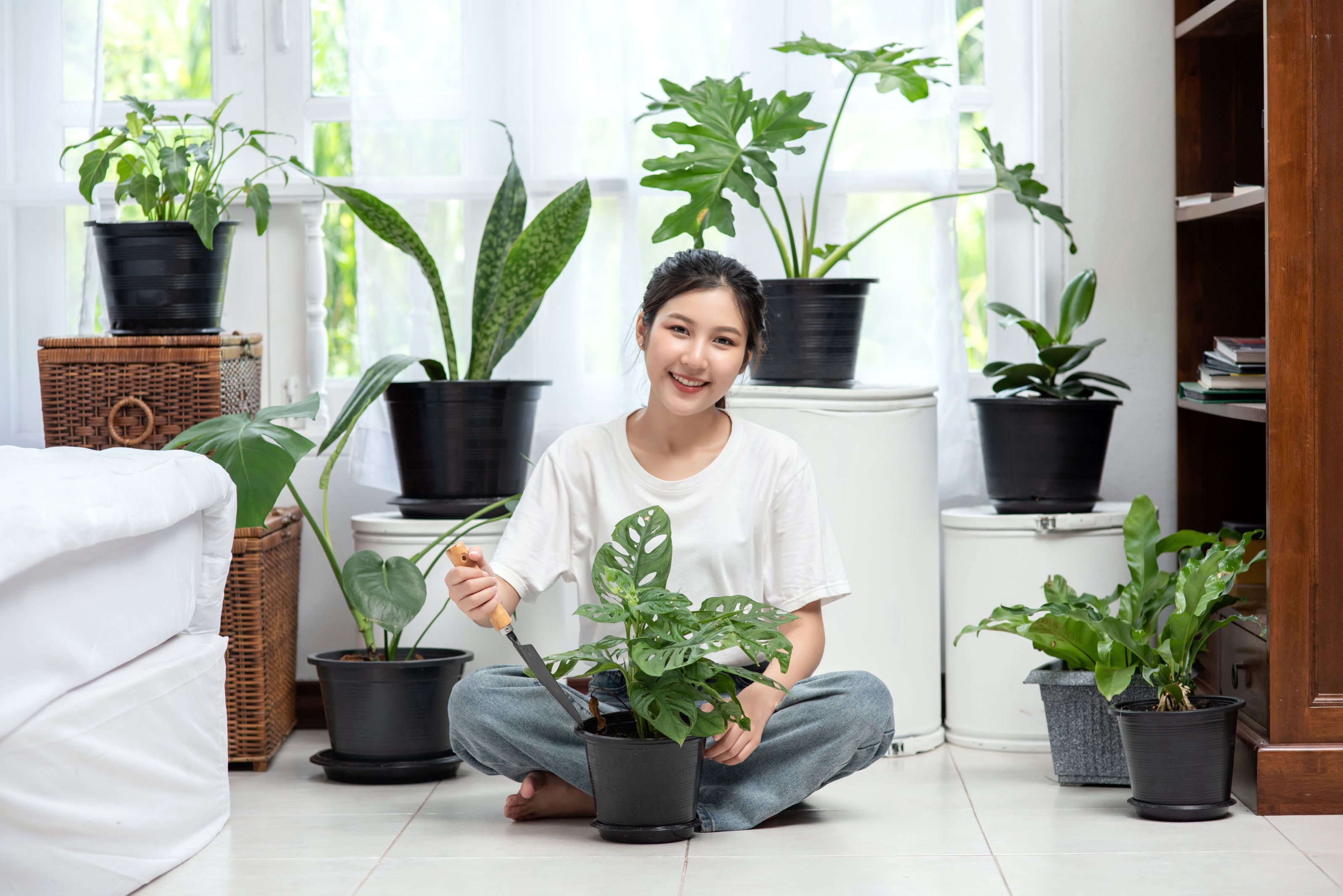 The Ultimate Guide to Indoor Plants in Thane: A Step-by-Step Process