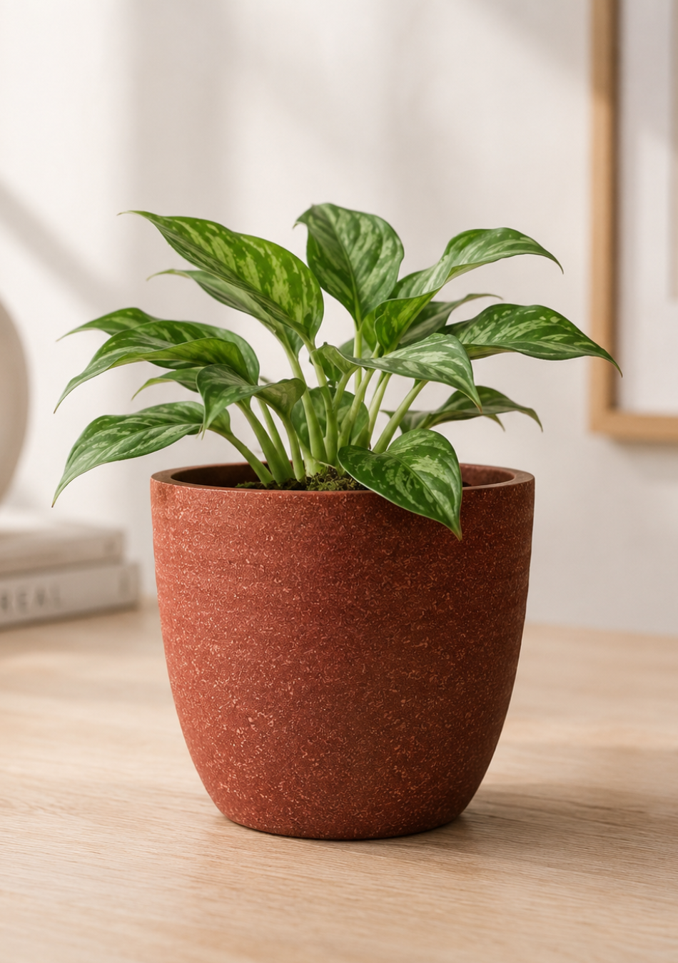 Earthen Red Eco Series Planter