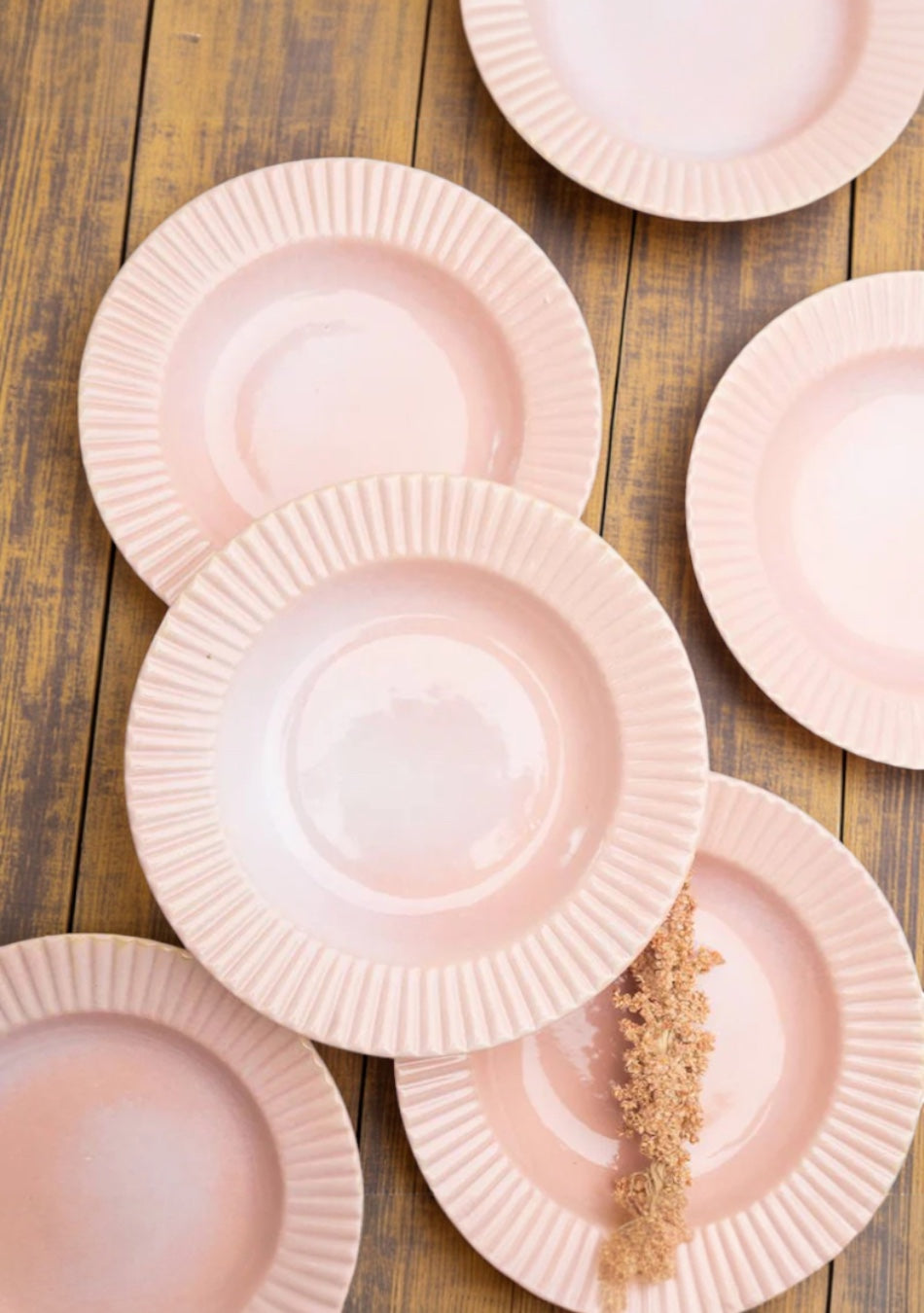 Coral Pasta Plates