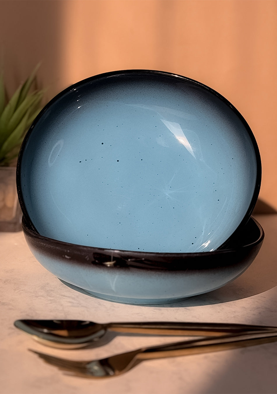 Blue Oblong Soup Bowls