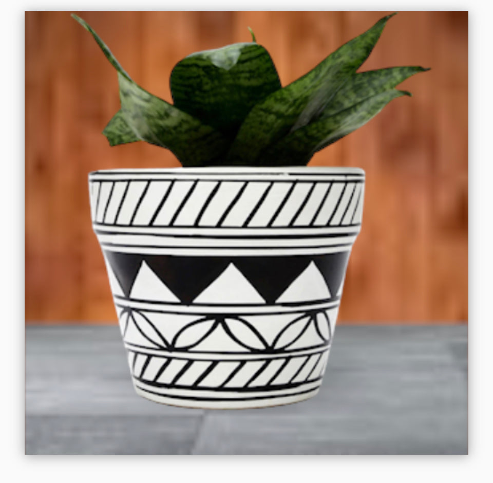 Sansevieria Green In White & Black Design Ceramic Matte Planter