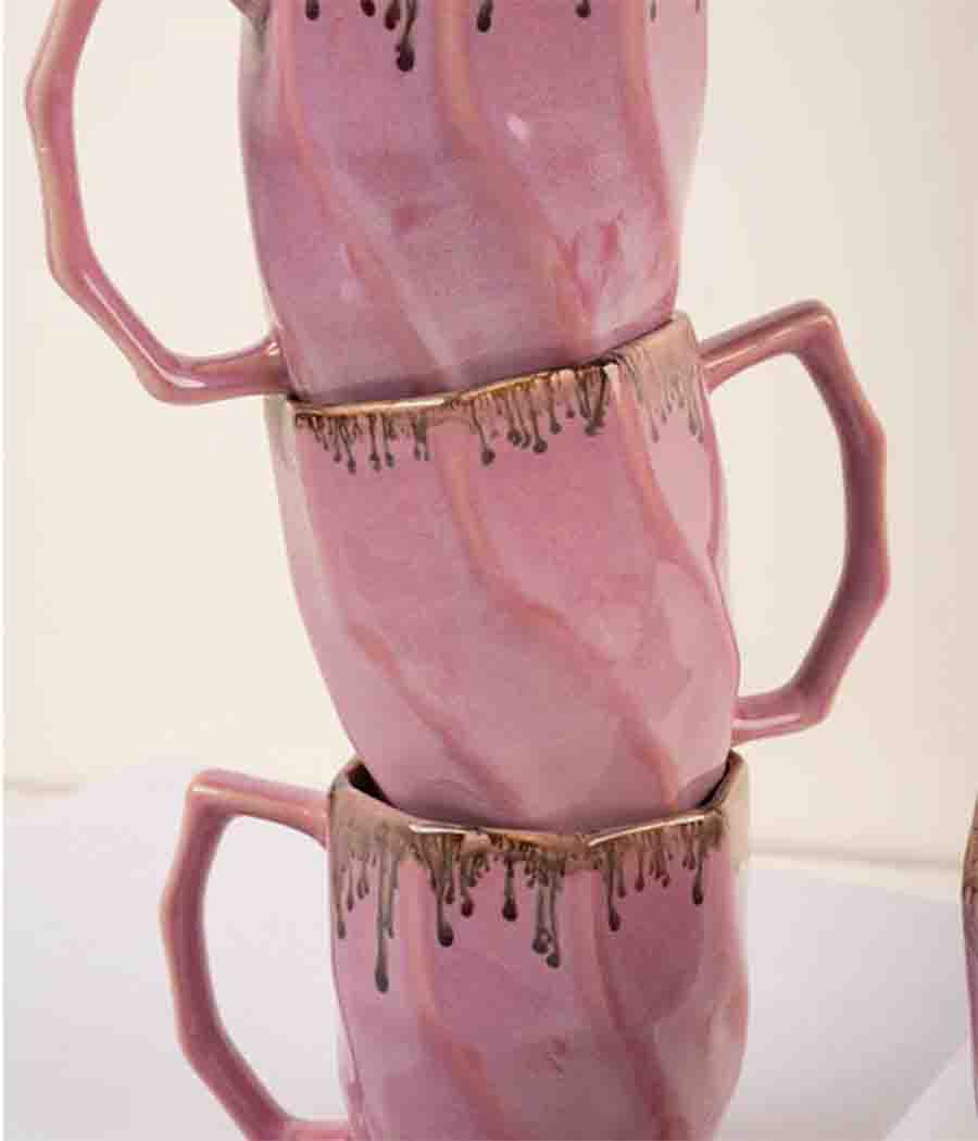 Pink Robin Mugs