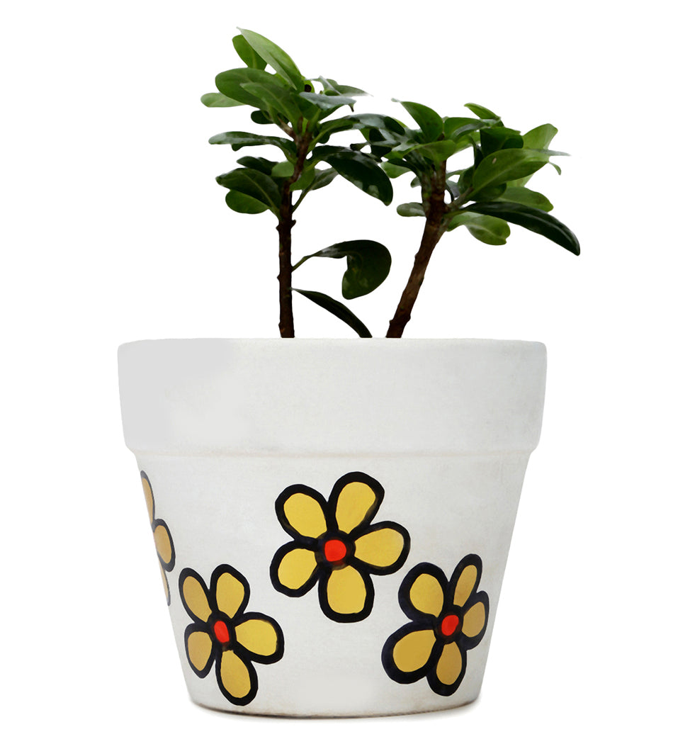 ZZ Plant in White & Yellow Flower Ceramic Matte Planter