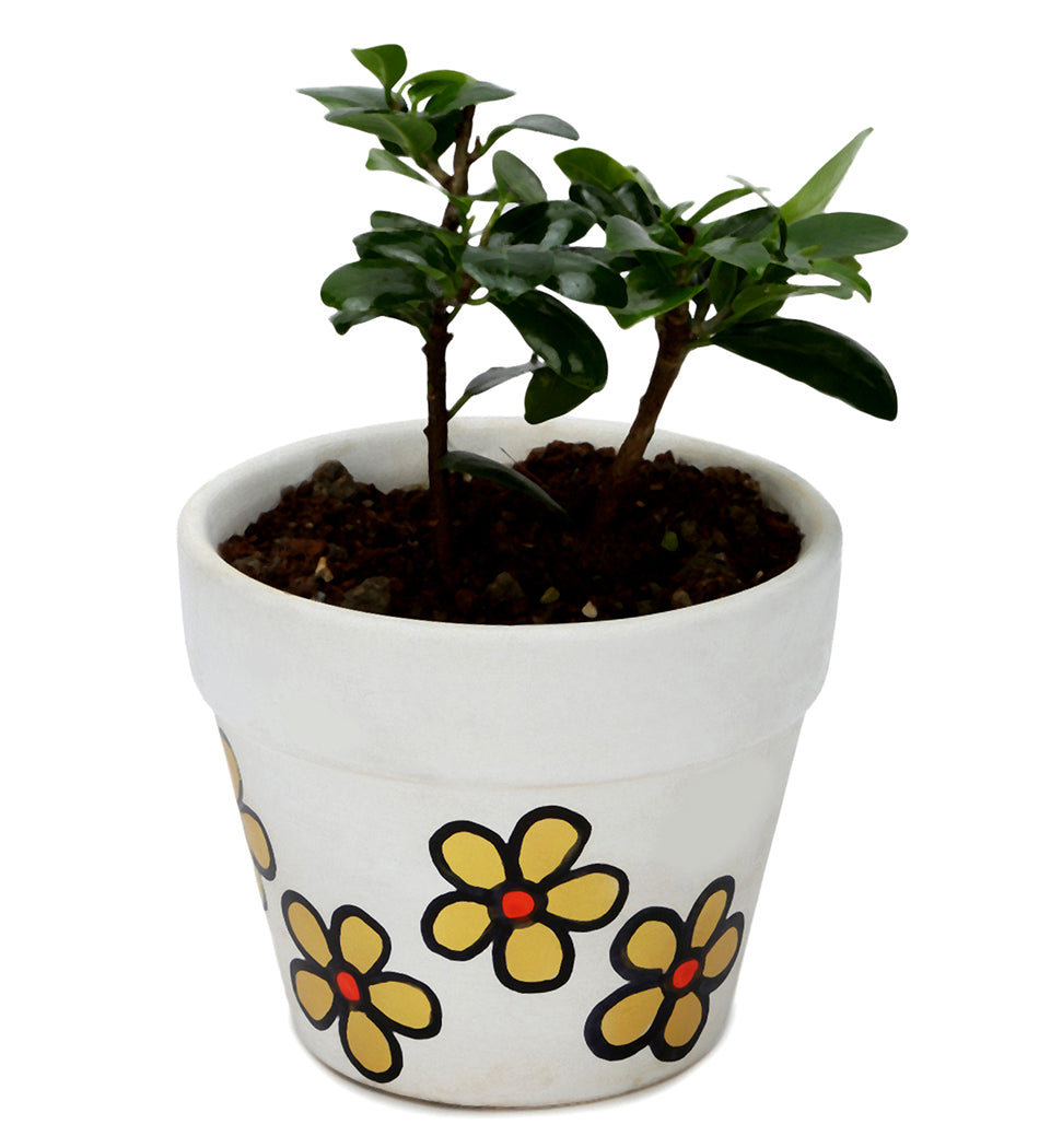 ZZ Plant in White & Yellow Flower Ceramic Matte Planter