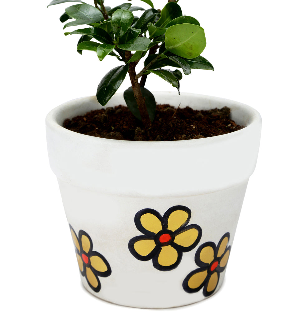 ZZ Plant in White & Yellow Flower Ceramic Matte Planter