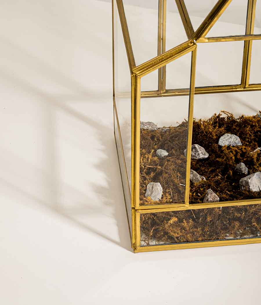 Vatican Terrarium