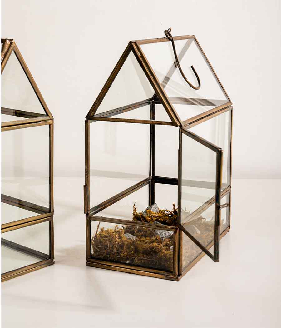 Shillong Terrariums - Set of 2